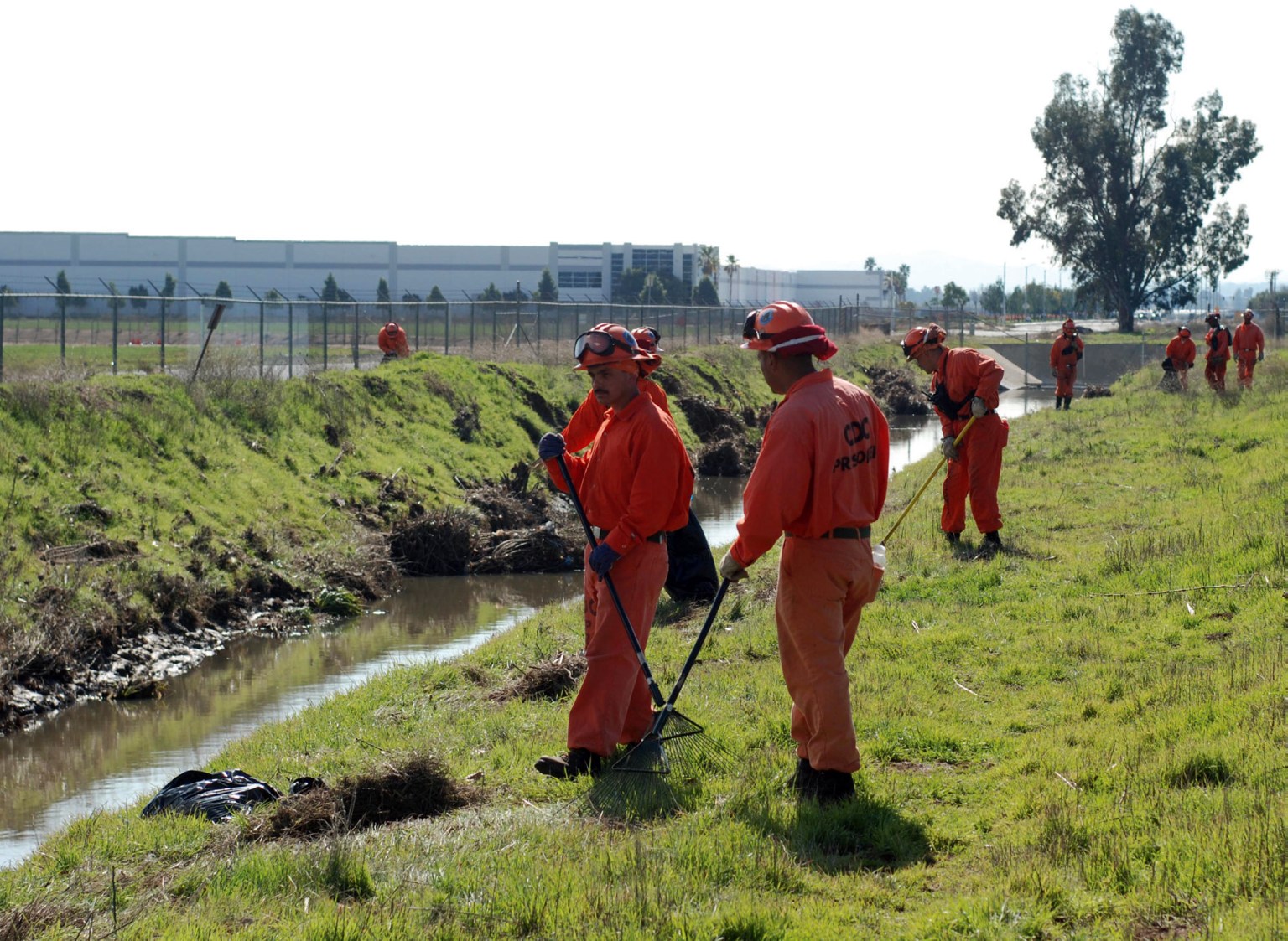 Men in orange prison jumpsuits and hats work along the grassy bank of a small muddy stream.