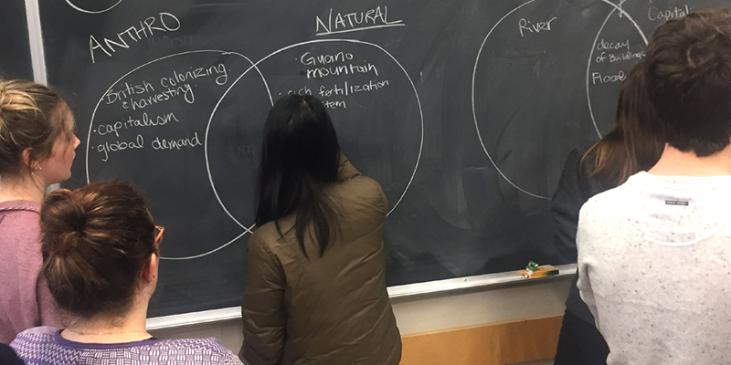 A student writing on a blackboard that has a ven diagram with the categories "Anthro" and "Nature." Students brainstorm behind her.