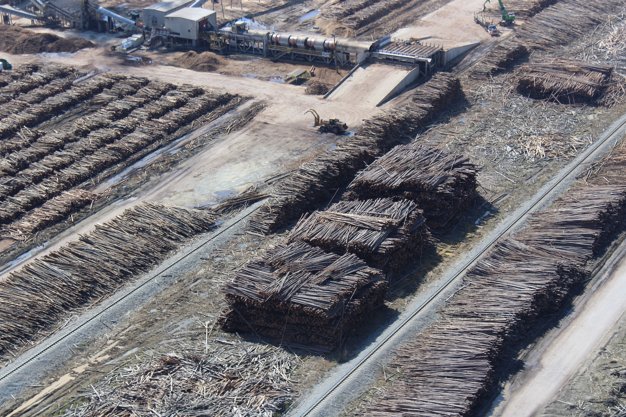 Piles of trees and wood residuals stacked in preparation for wood pellet production
