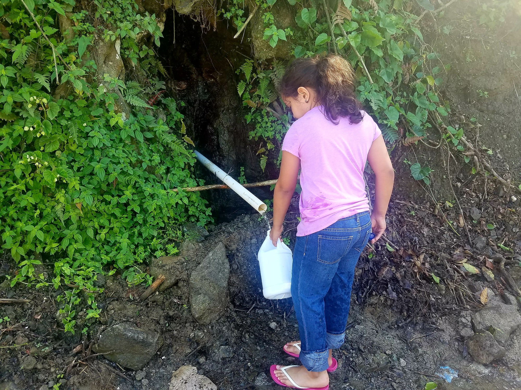 A young girl in a pink shirt, jeans, and sandals fills up water using a reused plastic jug from a roadside water source in Adjuntas, Puerto Rico