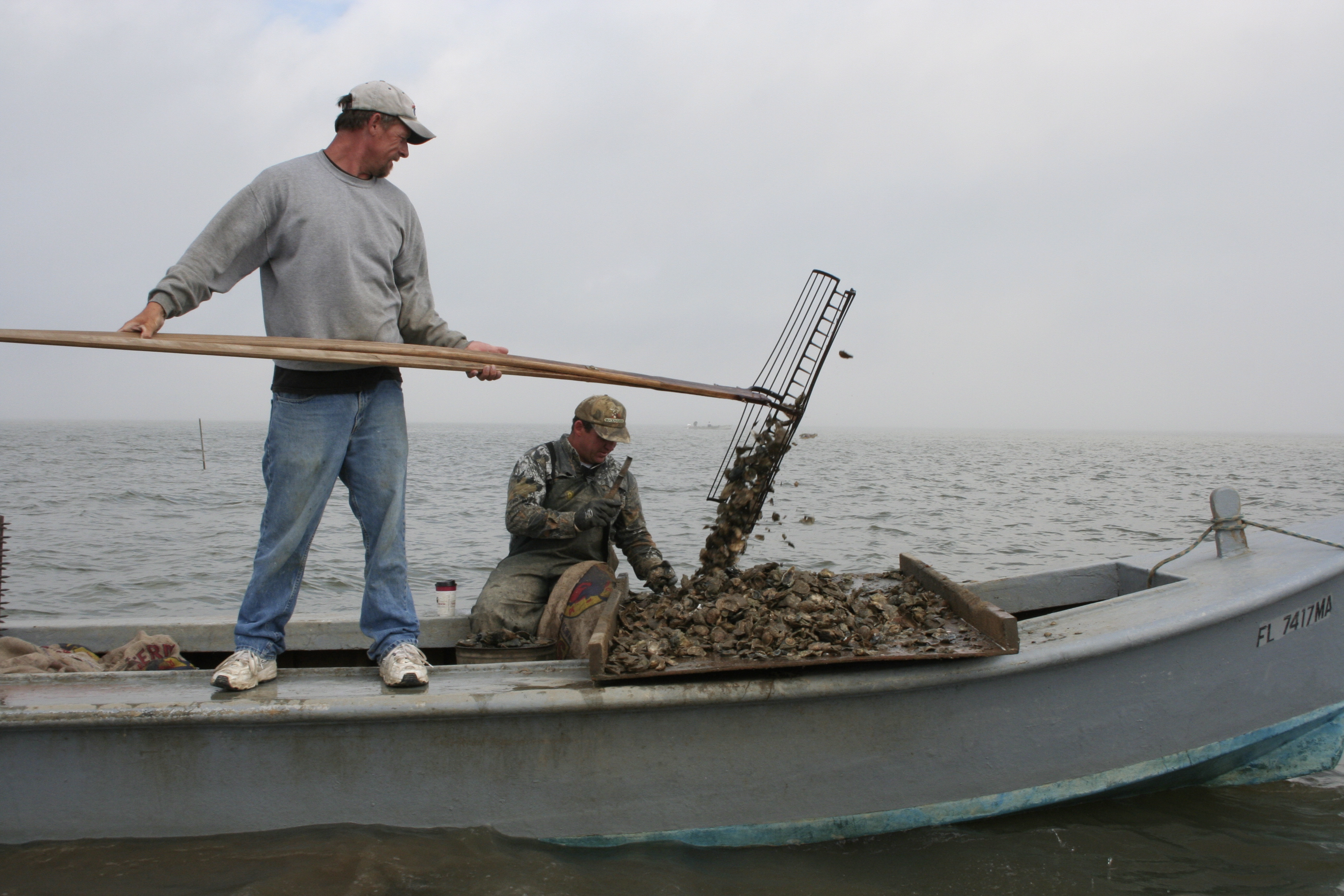Two fishermen oystering in Apalachicola Bay. 