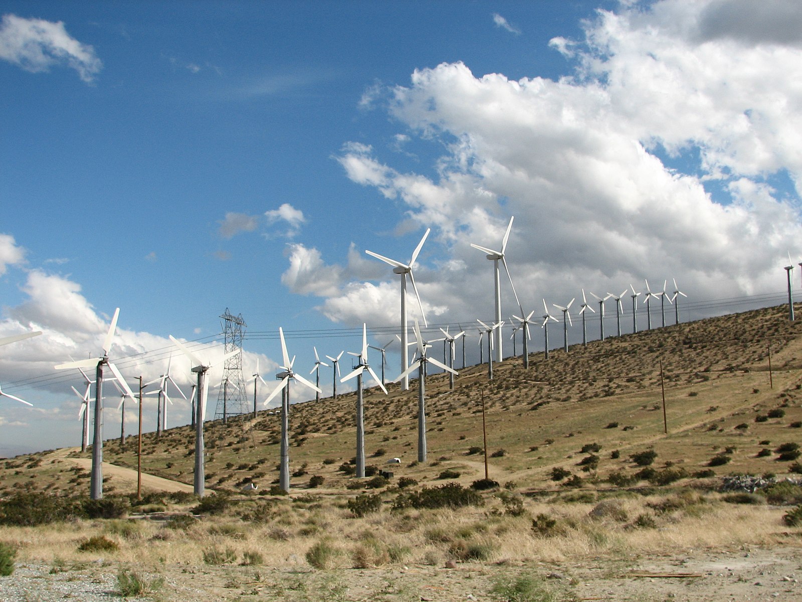 Dozens of wind turbines installed on a dried grassy hill against a blue sky with white clouds.