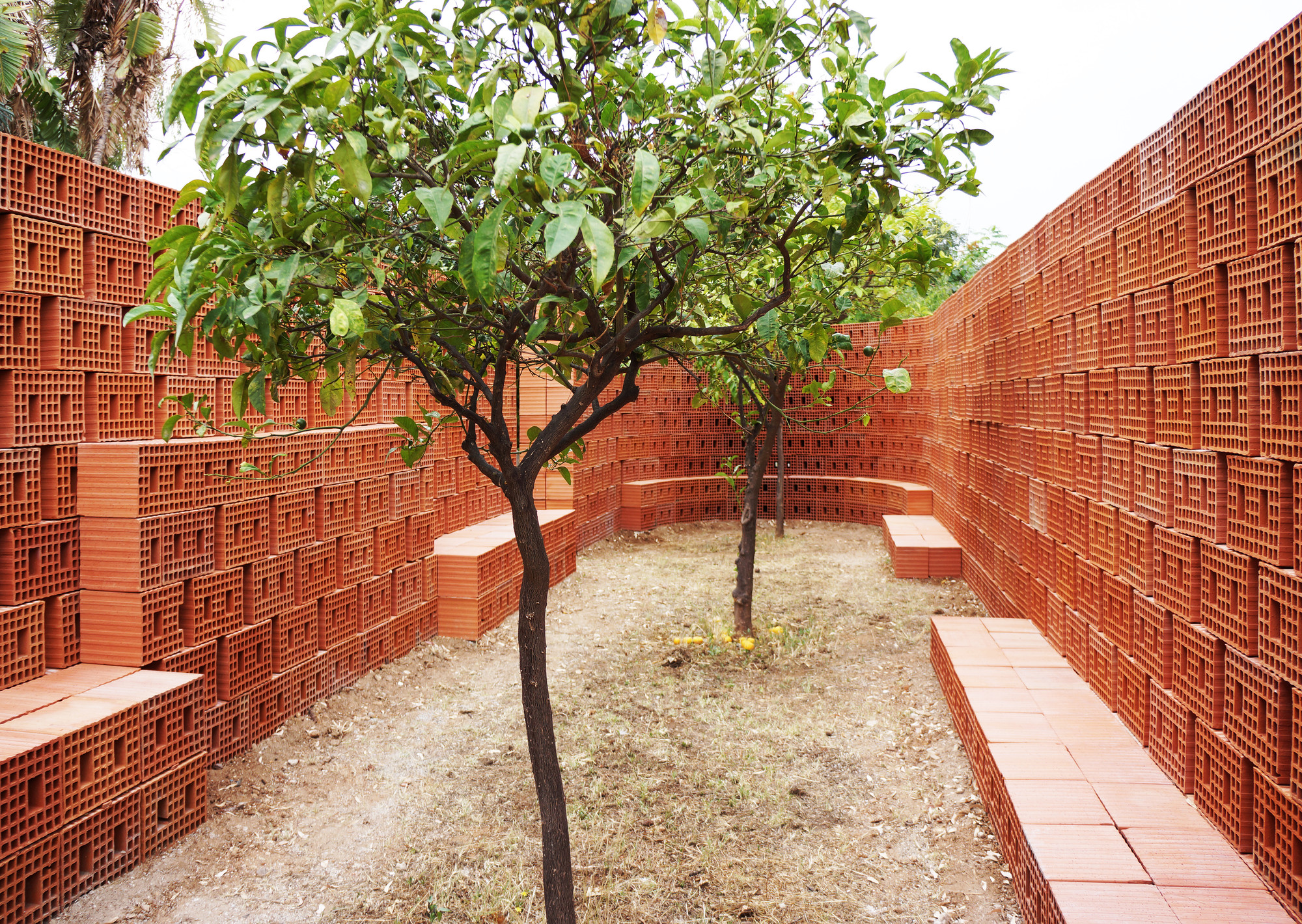 Two small trees with bright green leaves grow in the center of a number of stacked red bricks. Some of the bricks are arranged to form benches in the clearing, while most make up a wall.
