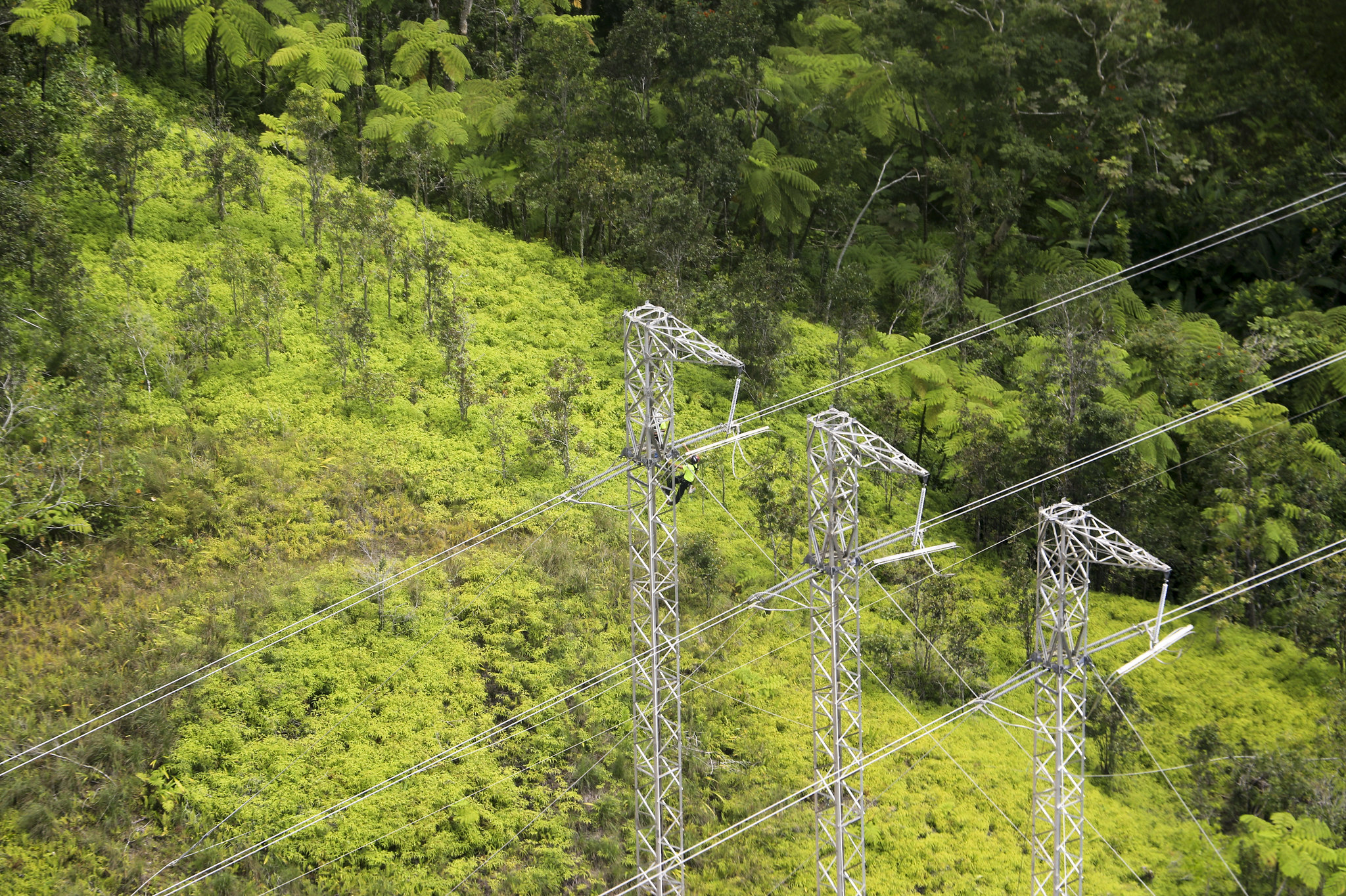 Contractor PowerSecure, Inc., working to restore the electrical grid in the Montaña Area, Caguas, Puerto Rico. ( South Atlantic Division, US Army Corps of Engineers)