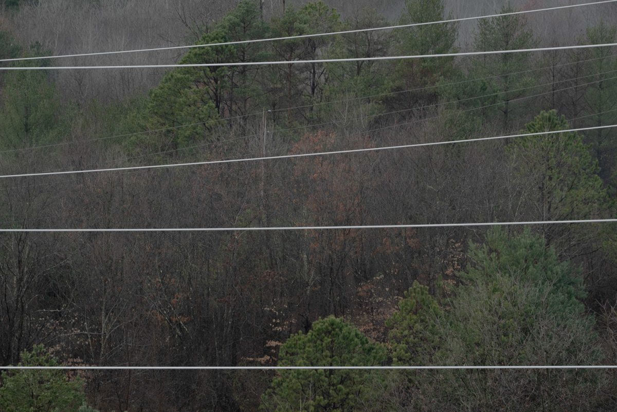 Powerlines criss-cross in front of a forest of trees, some evergreen and some leafless for winter