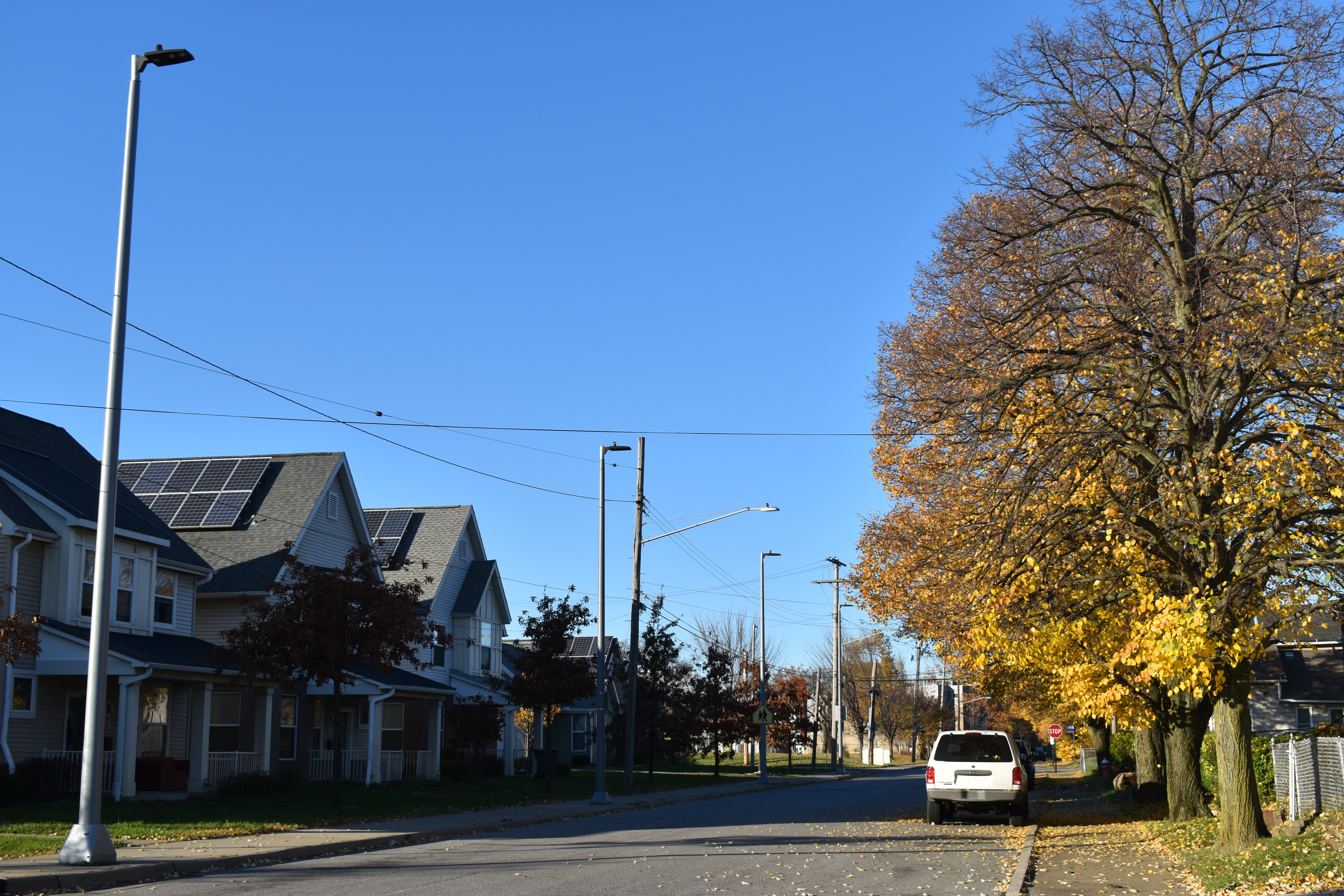 A residential street is lined with tress with changing leaves on the right side, and on the left a row of houses showing solar panels on the roofs.