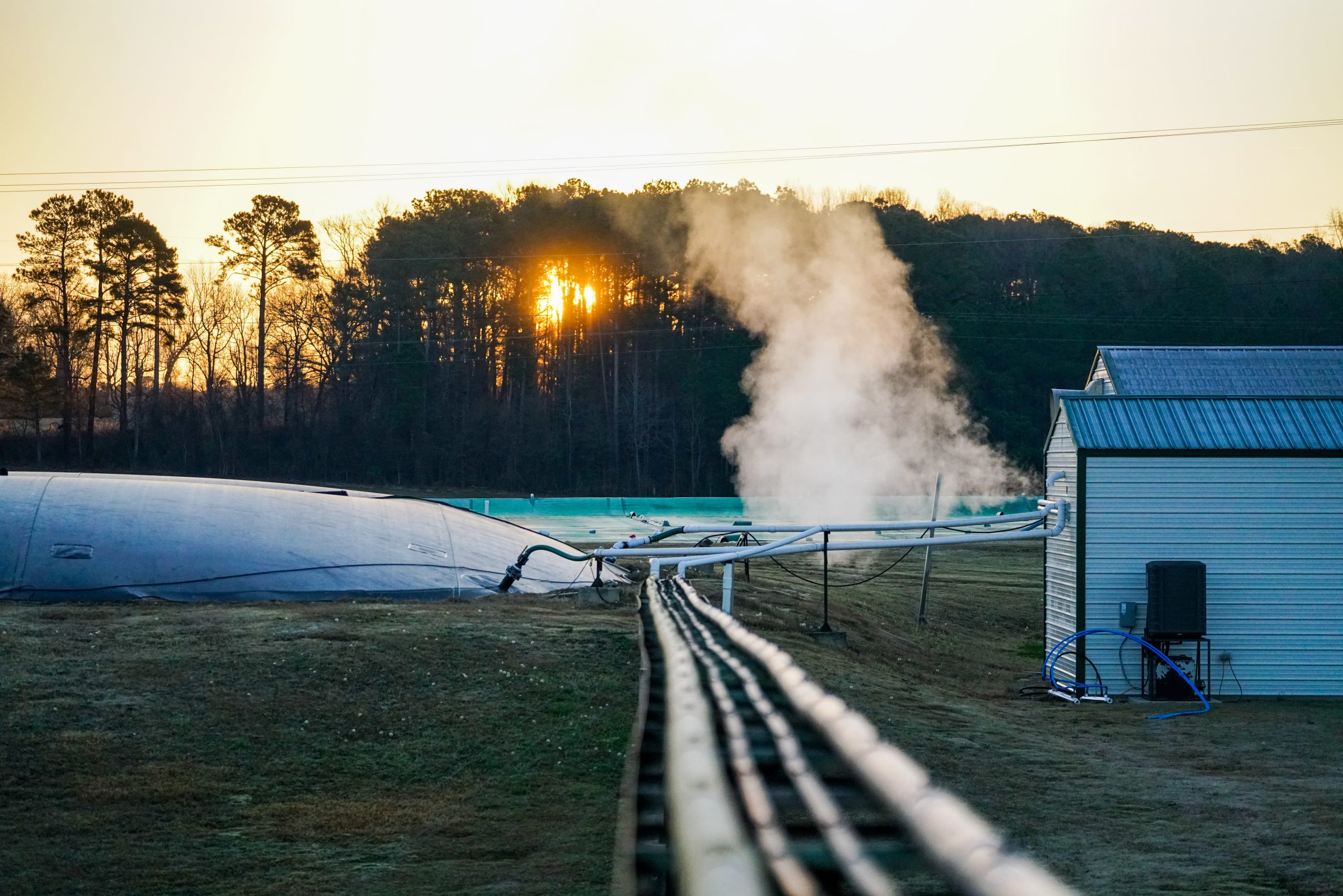 A hazy photo of pipes and other structures on grass in front of tall trees with a yellow sunrise in the background. Steam rises in the center