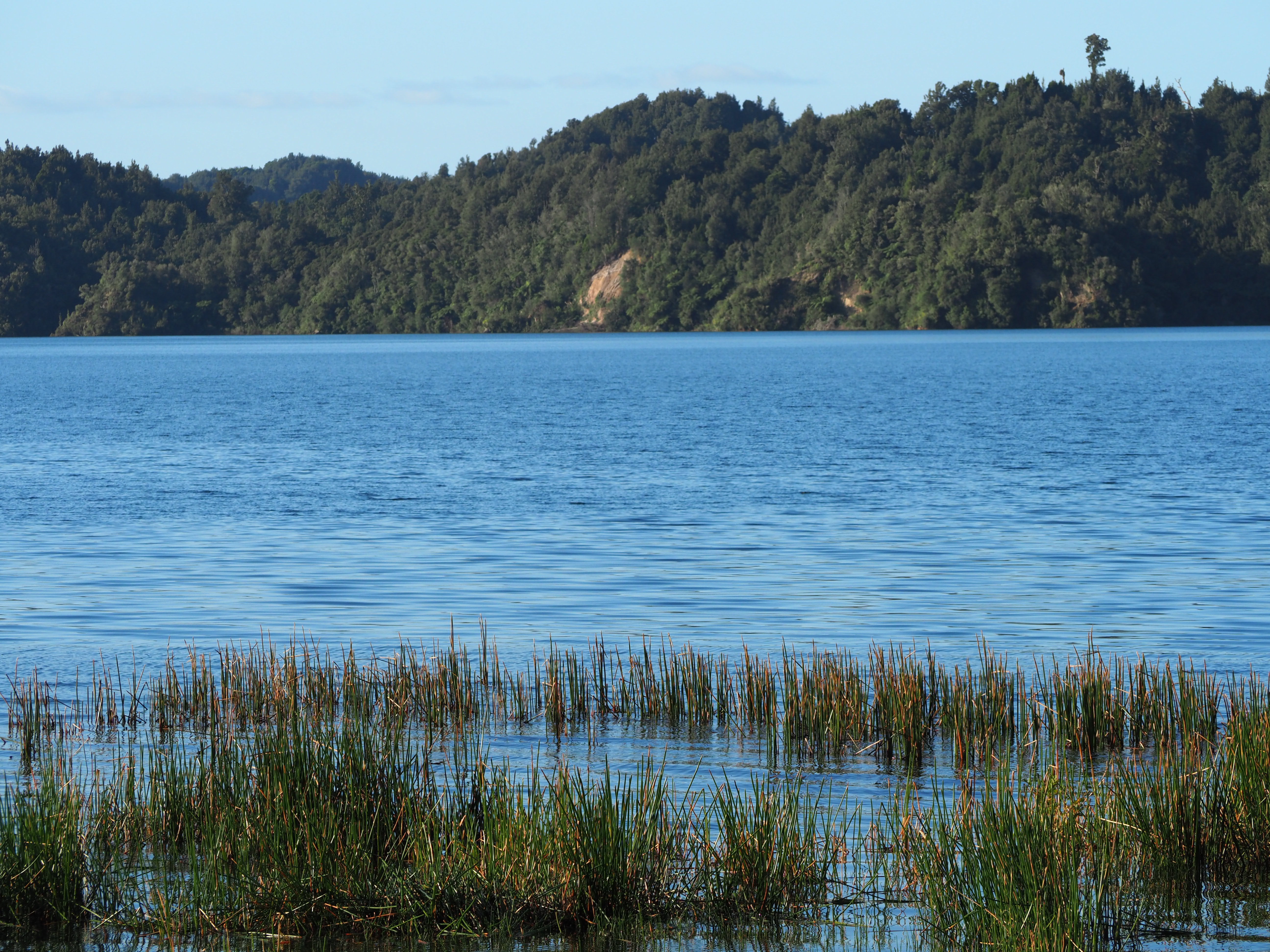 Te Arawa Lakes, Lake Rotama. (Mike Hennessy)