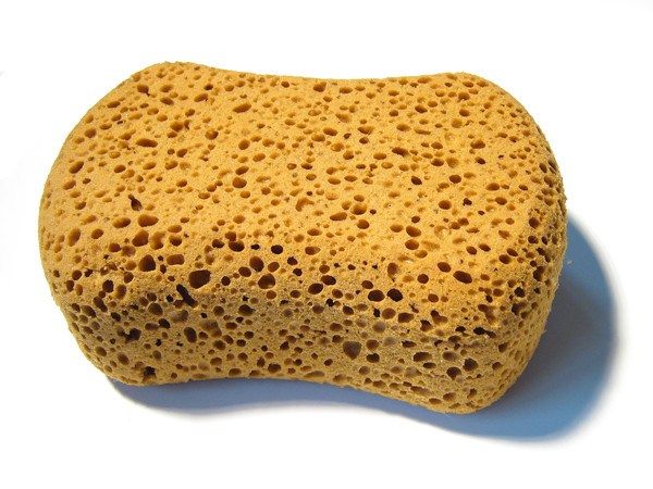 A kitchen sponge. (Johan)